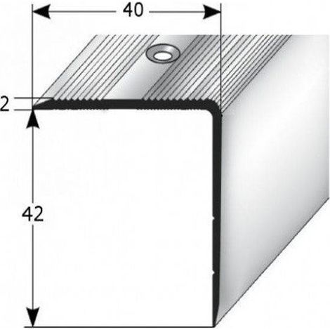 PROVISTON Treppenkantenprofil Alu 40 x 42 x 1000 mm Bronze Dunkel (1/2)