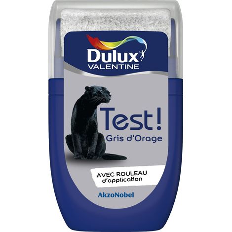 Testeur couleur Gris D'Orage 30 mL - Peinture Dulux Valentine