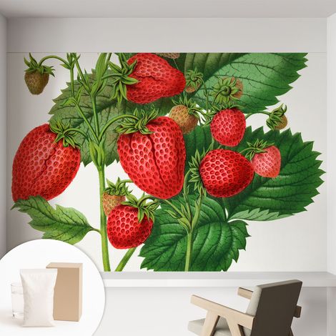 Papier peint avec colle pour décoration moderne de salon chambre à coucher cuisine et bureau Facile Fruits d'été 152x104 cm (1/5)