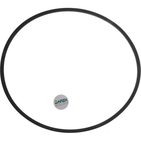 Courroie lisse hexagonale série AA108 pour tondeuses autoportées (1/3)