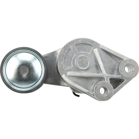 Poulie de tension de courroie d'alternateur robuste 8149855 - Compatible moteur D12 (1/5)