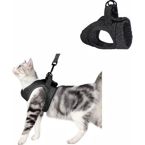 Pettorina ultraleggera e traspirante per cuccioli di cane e gatti con guinzaglio incluso (circonferenza torace 33-38 cm, grigio) (1/5)