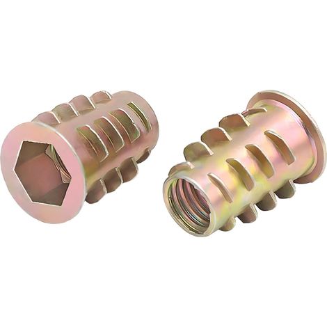 20 Pièces Écrou Hexagonal Fileté en, M6 x 10mm Filetés à Tête Plate, Écrous à Insert Fileté en Forme d'échelle pour Meubles en Bois (1/4)