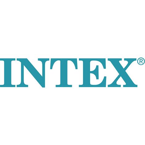 Pin Lungo per Piscine Metal Frame 396-732 cm INTEX