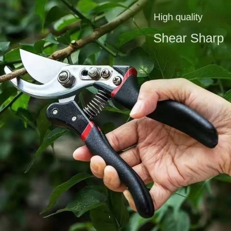 Sécateur de jardin à rouleau SK5 26 mm, coupe franche pour branches épaisses, rosiers, arbustes et arbres fruitiers, avec étui (1/5)