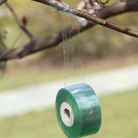Cinta de injerto profesional, autoadhesiva y biodegradable – Película de PE para el cuidado de árboles y horticultura – Longitud 100 m x 4 cm (328 pies x 1,57 pulgadas) – 1 rollo (1/5)