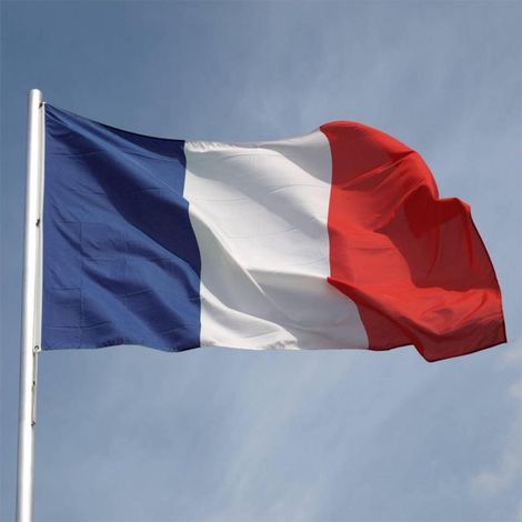 2PCS la France 90 x 150 cm avec 2 œillets métalliques résistants aux intempéries 1 pièce (France) (1/5)