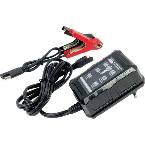 BAAS BA150 BA150 Caricatore automatico 6 V, 12 V
