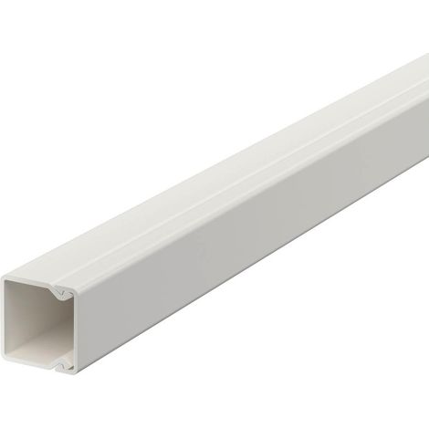 OBO Bettermann Canal de pared y techo con perforación en el fondo 20x20x2000 Cloruro de polivinilo blanco puro RAL 9010, 6191037