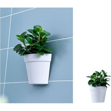 jardinière suspendue au mur Jardinière murale suspendue en forme de demi-cercle, Pot de plantes mural avec jardin fleur (1/4)