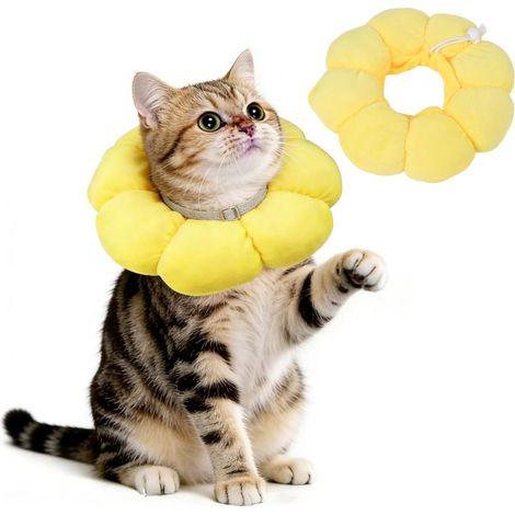 Collerette de Protection Confortable pour Chat en Forme de Fleur - Protection Anti-Léchage pour Soins Post-Opératoires et Plaies Cutanées (1/5)