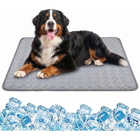 Tappetino rinfrescante per cani e gatti (XL) 100 x 75 cm Seta di ghiaccio, senza gel Sicuro e atossico Riutilizzabile Traspirante Lavabile Resistente per l'estate (1/5)