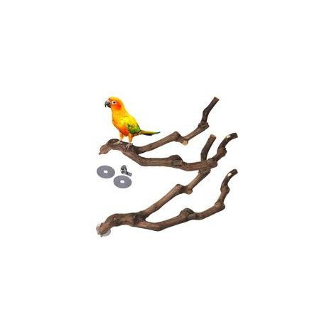 Percha natural para loros, poste para pájaros, palo de uva silvestre, horquilla para afilar las patas, juguete para trepar, ramas para periquitos, accesorios masticables para jaulas de periquitos pequ