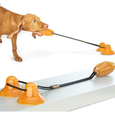 Jouet à mâcher et à dentition pour animaux de compagnie, jouet à ventouse pour chien, corde solide, double ventouse, aide à nettoyer les dents, à traîner, à mâcher et à manger (1/5)