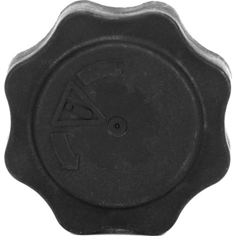 Bouchon de bouteille d'eau BMW Mini 17107515499 (1/5)