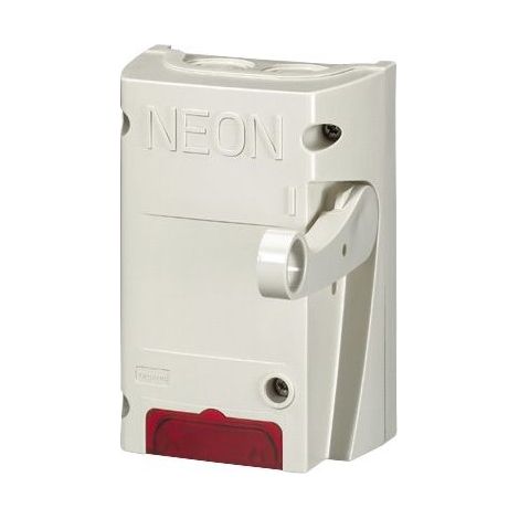 Neon-Bip-Schalter 16A 38050