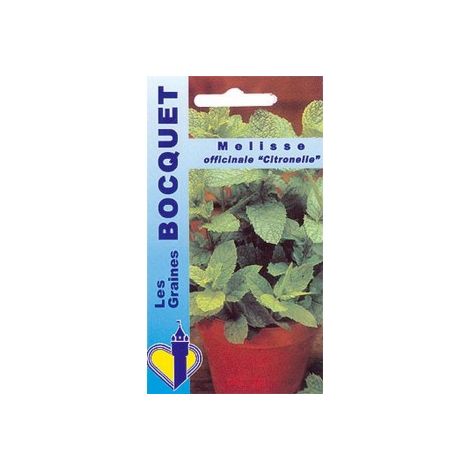 Graines de mélisse citronnelle 0,5g – Semis d'avril à juin – Plante vivace pour jardinières et balconnières – Feuilles aromatiques – Graines Bocquet