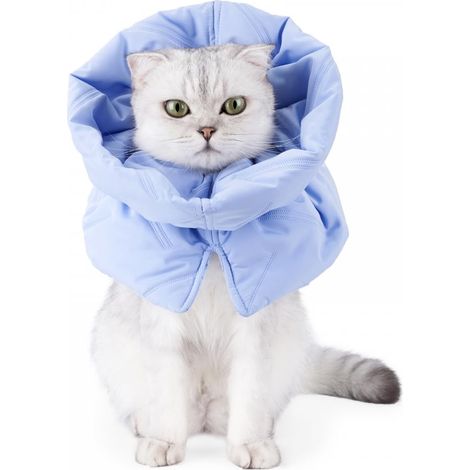 Collerette Chat Protection, Collier Récupération Doux Ajustable pour Chat Anti-Morsure, Collerette Chat Anti-grattage Confortable pour Moyenne/Grand Chat et Chiots, Bleu (1/5)