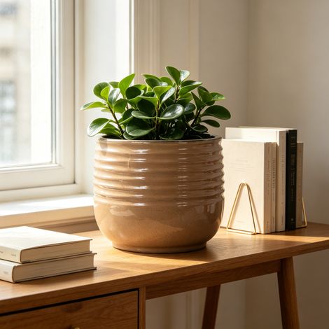 Pot de fleurs en céramique Ø 26 cm, brillant beige clair, avec trous de drainage OKMYHOME (1/5)