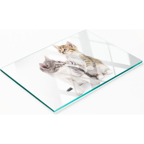 Pannello decorativo multifunzionale in vetro temperato con due gattini, 80x52 cm (1/5)