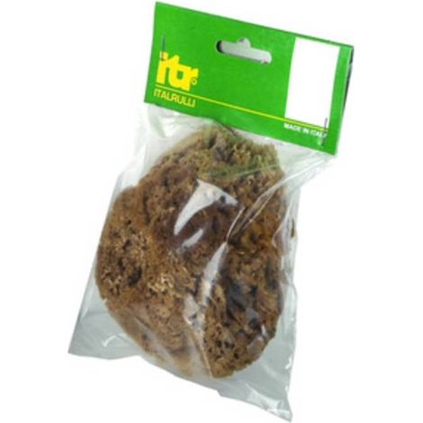 SPUGNA MARINA NATURALE 14 CM P/PITTURE   SM