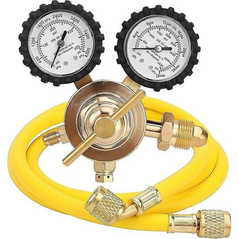 Régulateur d'azote avec une plage de pression de sortie de 0 à 600 PSI