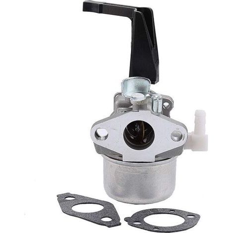 Vergaser 696065 kompatibel mit Briggs & Stratton 696065 697422 110402-0206-E1 (1/5)