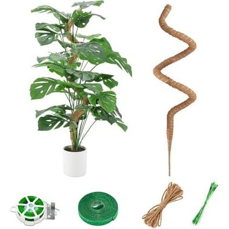 Pflanzenstütze aus Kokosfaser für Kletterpflanzen, 125 cm, faltbar, für Monstera-Pflanzen, für Zimmerpflanzen und Garten, mit Kabelbindern – 1 x 125 cm (1/5)