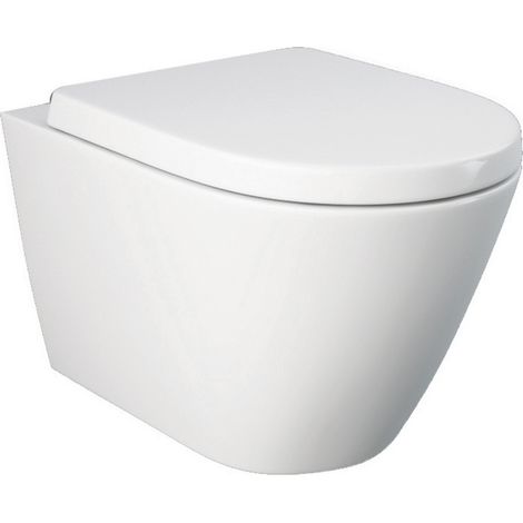 Fixation cachée pour toilettes suspendues Rimless Resort (1/3)