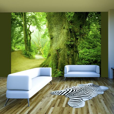 Fotomurale - Sentiero nella foresta - 250x193 (1/4)