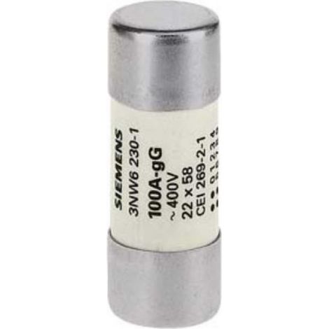 Fusible cilÍndrico siemens 22x58 100a gg 3nw62301