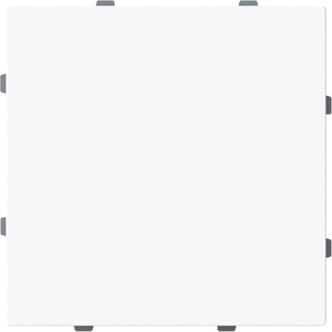 Busch-Jaeger Placca centrale copertura cieca 1-posto con anello di supporto bianco studio - Busch-art linear® (1742-44G), 2CKA001710A4211