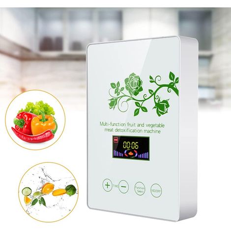 Générateur d'ozone Purificateur d'air Purificateur d'air 600 mg/h pour viande Légumes Désinfection Fruits Légumes Nettoyeur d'eau Stérilisateur Désintoxication Générateur d'ozone Ioniseur d'ozone