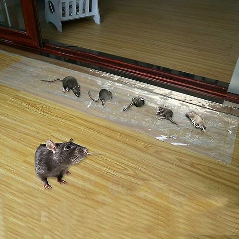 VURAHOME - Planche rats invisible et collante de 1,2 m, couverture anti-rats, autocollants forts pour rats, 5 paquets (1/4)