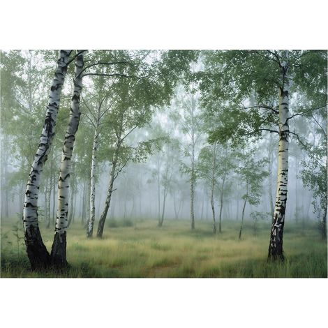 Papier peint mural forêt bouleaux 3D vert intissé grand format design intérieur salon chambre pas cher 150x105 cm (1/5)