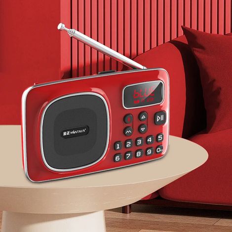 Mini radio FM à écran LED, récepteur radio portable, enceinte Bluetooth sans fil, enregistrement HD, appels mains libres, boîte à musique, rechargeable. (1/5)