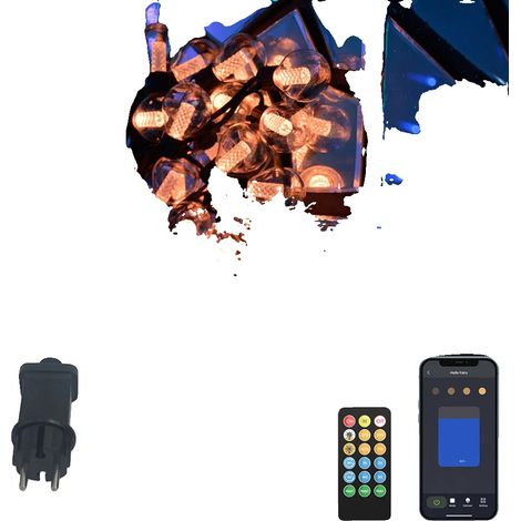 Lichterkette, Fernbedienung, wasserdicht, G40-Lichterkette, EU-A-Stecker, 2er-Pack (1/2)