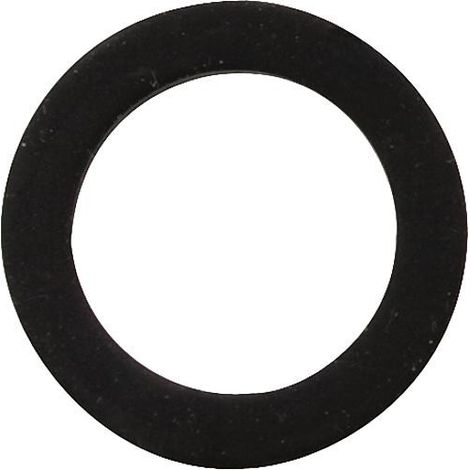 Joint solaire 1" / 23 x 30 x 2 mm sachet 25 pcs (1/2)