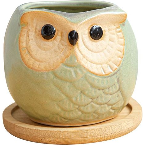 Pot à succulentes en forme de hibou (avec socle) - Style hibou dodu - vert (1/5)