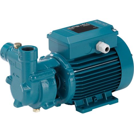 CALPEDA CA 60E 0,2 HP Elettropompa TRIFASE autoadescante ad anello liquido