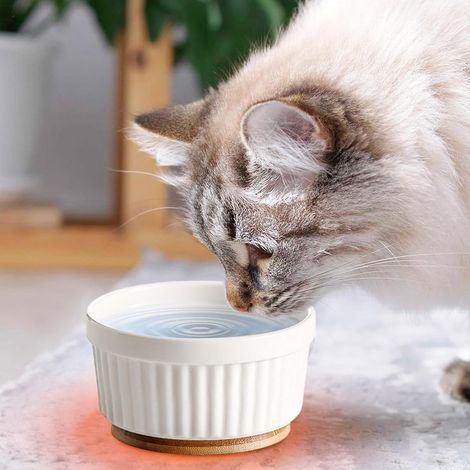 Ciotola per acqua riscaldata per gatti Ciotola termostatica in ceramica per cibo per cuccioli Ciotola riscaldata per cibo per cani per proprietari di cuccioli, cliniche veterinarie e climi freddi (1/4)