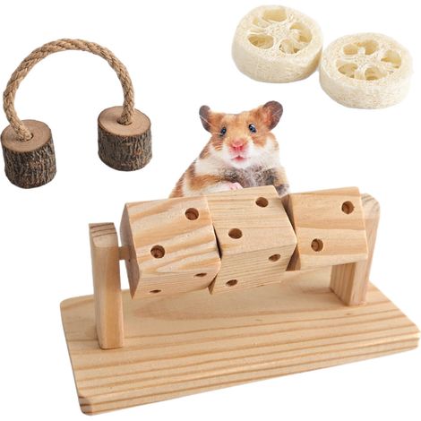 Lot de 2 Jouet à Mâcher pour Petit Animal Hamster 4 en 1, Jeu Interactif en Bois de Pomme, Brins à Ronger et Loofa, Activité Rongeur (1/5)