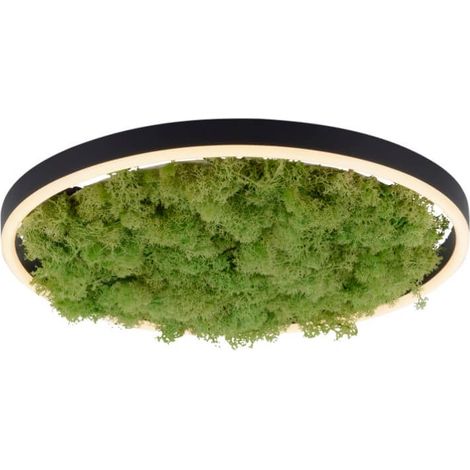 Plafonnier LED moderne mousse verte Ritus Leuchten 39cm (1/3)