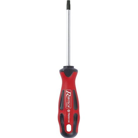 Tournevis Torx T25 6x100 - Aimanté - Précision et Efficacité - Acier Traité - D-Work (1/2)