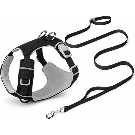 Équipement de promenade pour chien noir charbon avec laisse S