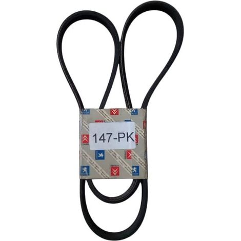 5pk1100 cinghia poly-v alternatore servizi originale (1/5)