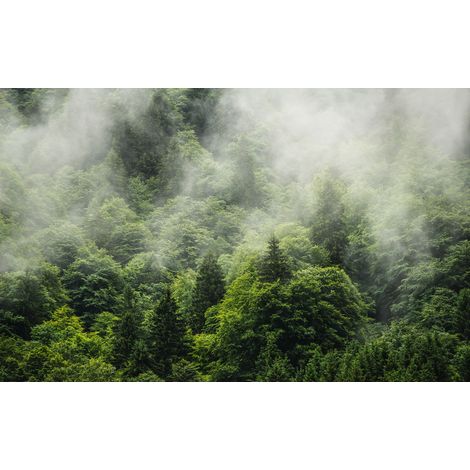 Papier peint panoramique naturel Terre Forestière (1/4)