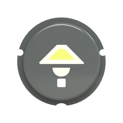 free@home pictogramme avec symbole eclairage Gris 2CLA202610N1402 ABB 590249 (1/3)