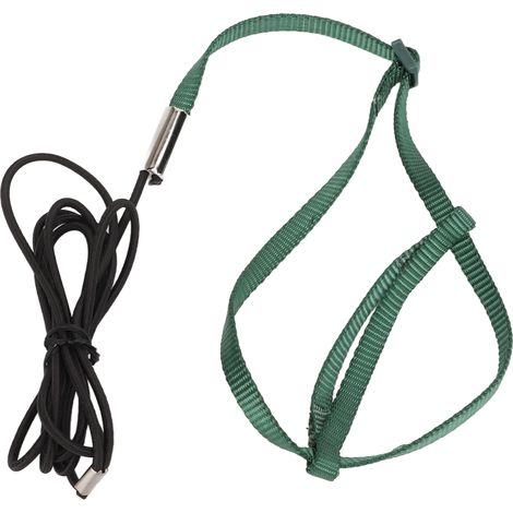 Harnais pour oiseau, laisse élastique réglable, corde de traction pour l'entraînement au vol des perroquets, perruches calopsittes et inséparables, vert XS (1/5)