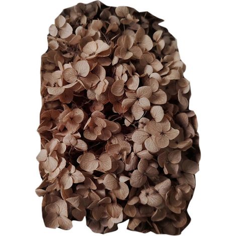 Farfi 20g/Box Trockenblumen, keine Bewässerung nötig, dekorative, frisch haltende künstliche Hortensienblüten, Geschenkbox-Set, Heimdekoration für das Wohnzimmer-Coffee